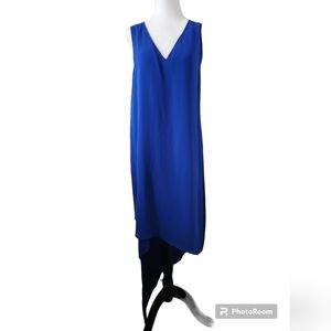 Express blue dress